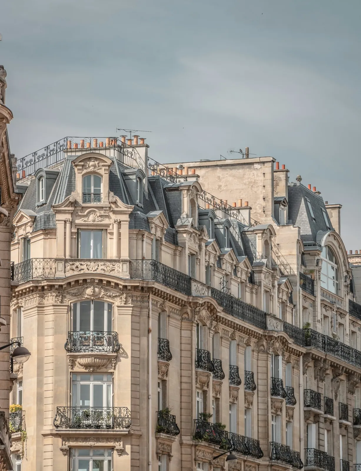Zinc, ardoise ou tuile : quel matériau pour votre toit ?